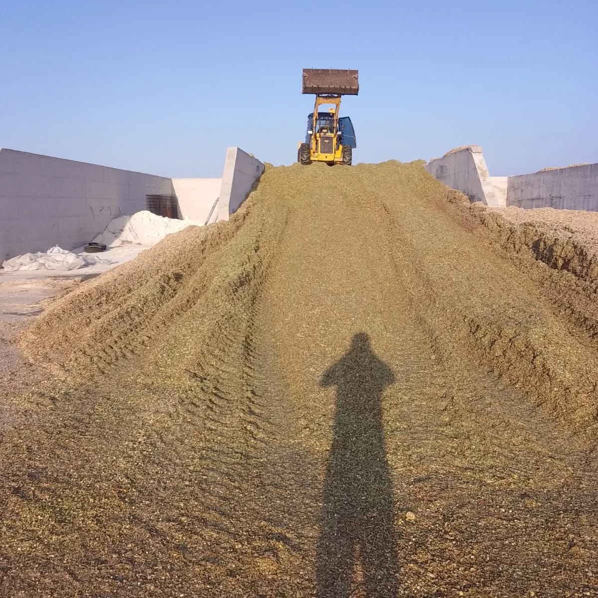 Örüşkülüler Hafriyat